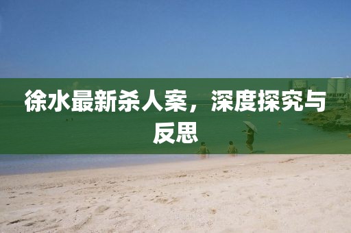 徐水最新杀人案，深度探究与反思