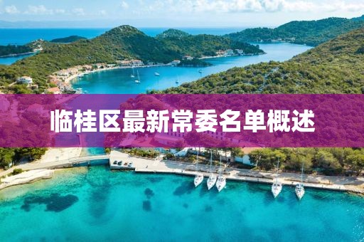 临桂区最新常委名单概述