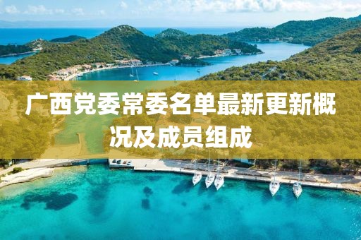 广西党委常委名单最新更新概况及成员组成