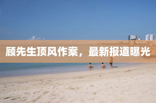 顾先生顶风作案，最新报道曝光
