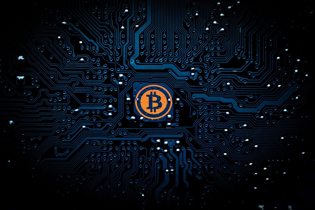 倪正华，演员之路的辉煌篇章